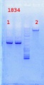 Thumbnail for version as of 16:14, 11 October 2013