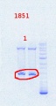Thumbnail for version as of 12:31, 25 September 2013