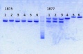 Thumbnail for version as of 12:49, 8 November 2013