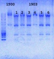 Thumbnail for version as of 16:26, 25 October 2013