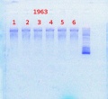 Thumbnail for version as of 10:11, 20 December 2013