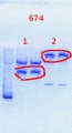 Thumbnail for version as of 11:13, 30 September 2013