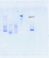 Thumbnail for version as of 15:29, 22 September 2016