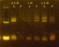 Thumbnail for version as of 12:53, 4 July 2014