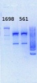 Thumbnail for version as of 12:45, 26 July 2013
