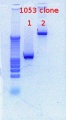 Thumbnail for version as of 13:42, 5 April 2012
