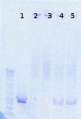 Thumbnail for version as of 13:38, 26 December 2012