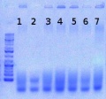 Thumbnail for version as of 12:48, 19 June 2012