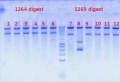 Thumbnail for version as of 14:10, 10 August 2012
