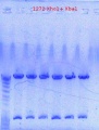 Thumbnail for version as of 19:20, 7 October 2012