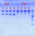 Thumbnail for version as of 09:21, 23 October 2012