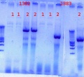 Thumbnail for version as of 13:42, 10 October 2012