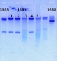 Thumbnail for version as of 16:03, 15 March 2013