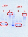 Thumbnail for version as of 16:30, 28 October 2013