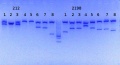 Thumbnail for version as of 12:39, 26 August 2014