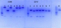Thumbnail for version as of 15:51, 28 July 2014