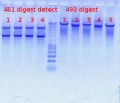 Thumbnail for version as of 12:35, 1 December 2011