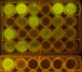 Thumbnail for version as of 09:17, 1 October 2014