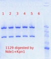 Thumbnail for version as of 15:46, 4 May 2012