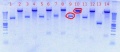 Thumbnail for version as of 16:51, 21 August 2012