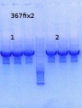 Thumbnail for version as of 16:00, 23 September 2013