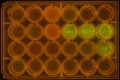 Thumbnail for version as of 18:55, 8 October 2014