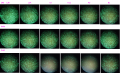 Thumbnail for version as of 17:29, 15 October 2014