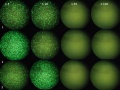 Thumbnail for version as of 18:48, 23 March 2011
