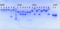 Thumbnail for version as of 10:52, 26 September 2014