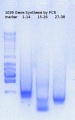 Thumbnail for version as of 16:27, 16 April 2015