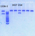 Thumbnail for version as of 12:53, 7 March 2013