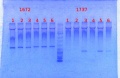 Thumbnail for version as of 12:00, 28 January 2014