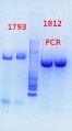 Thumbnail for version as of 10:58, 29 August 2013