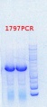 Thumbnail for version as of 15:18, 23 July 2013