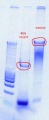 Thumbnail for version as of 16:18, 7 November 2011