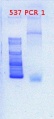 Thumbnail for version as of 09:47, 2 May 2012