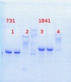 Thumbnail for version as of 11:00, 28 March 2014