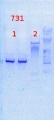 Thumbnail for version as of 14:21, 19 March 2014
