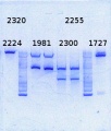 Thumbnail for version as of 09:49, 15 September 2014
