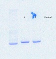 Thumbnail for version as of 13:26, 28 September 2016