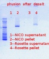 Thumbnail for version as of 08:45, 13 June 2012