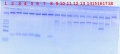 Thumbnail for version as of 10:46, 26 July 2011