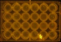 Thumbnail for version as of 11:23, 16 May 2016
