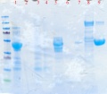 Thumbnail for version as of 18:06, 25 April 2011