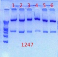 Thumbnail for version as of 14:44, 19 July 2012