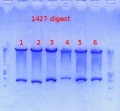 Thumbnail for version as of 12:47, 14 November 2012
