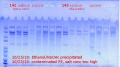 Thumbnail for version as of 12:48, 27 October 2018
