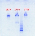 Thumbnail for version as of 10:34, 7 June 2013