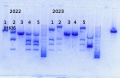 Thumbnail for version as of 15:33, 17 January 2014