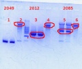 Thumbnail for version as of 15:26, 8 May 2014